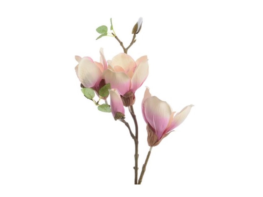 Z magnolia ijde steel