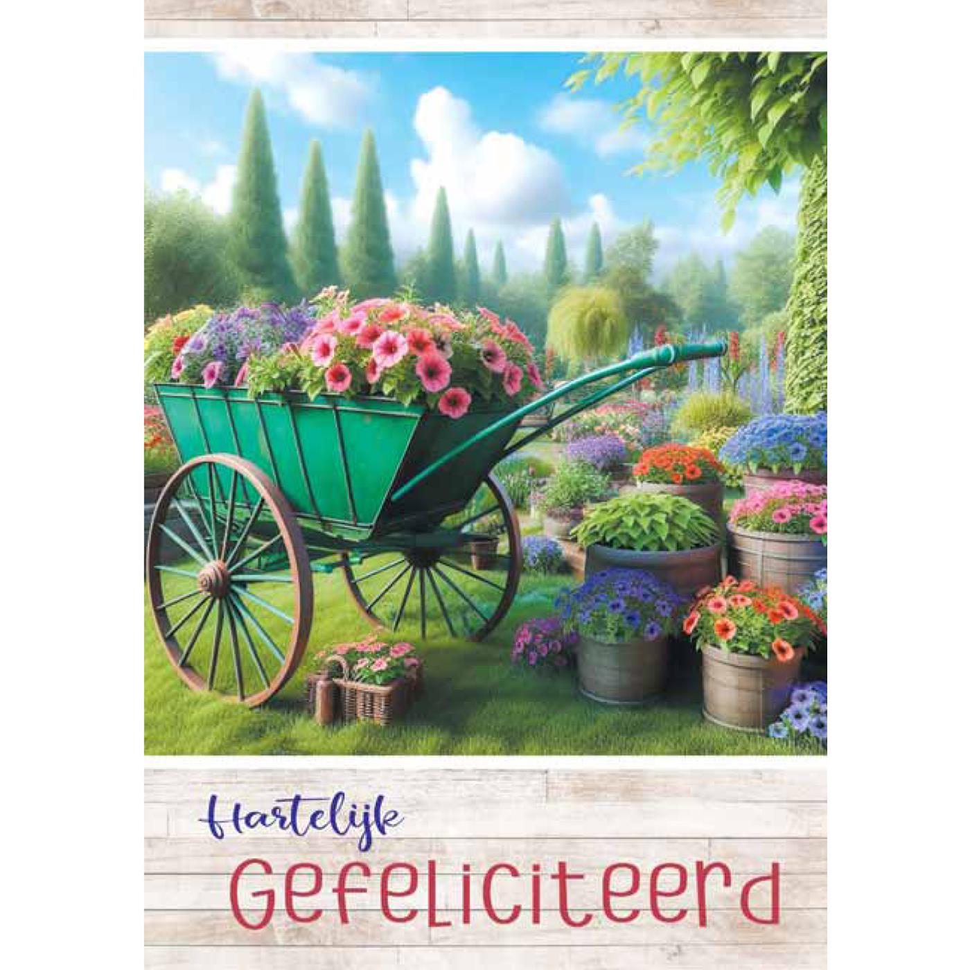 Wenskaarten Gefeliciteerd pak a 10 stuks