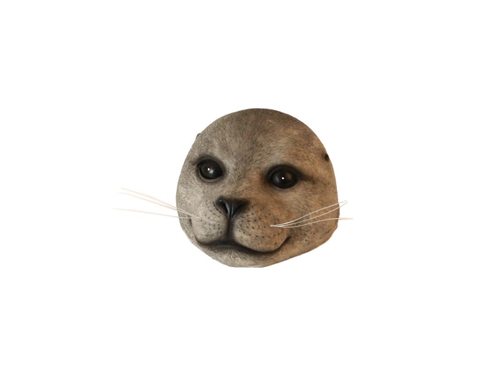 Gerkimex Drijvende zeehond grijs 16x13x7cm