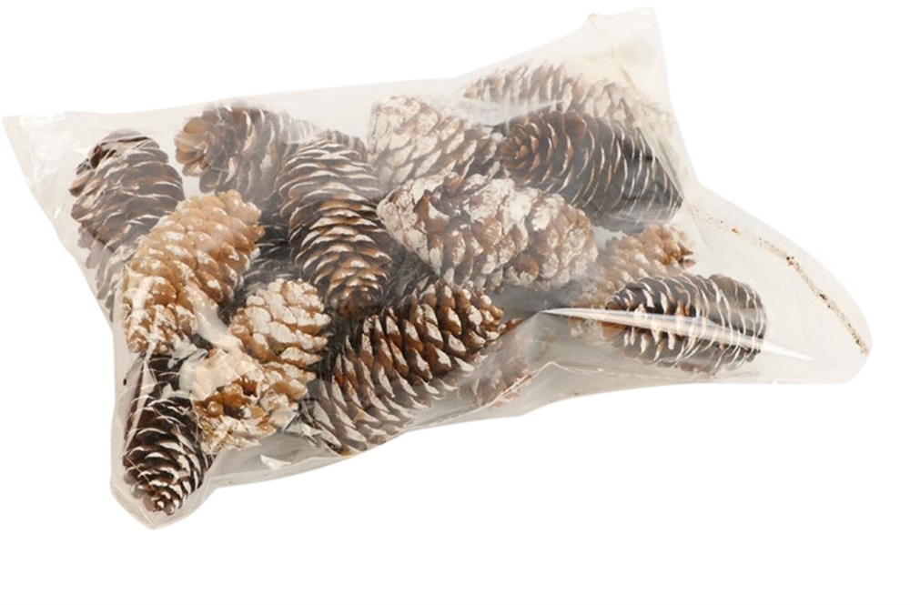 Decoratieset Pinecone Spruce 150gr Decoratieset Pinecone Spruce 150gr