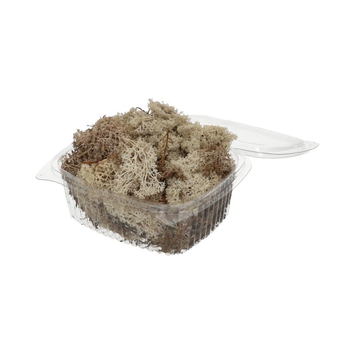 Rendiermos 50gr wit