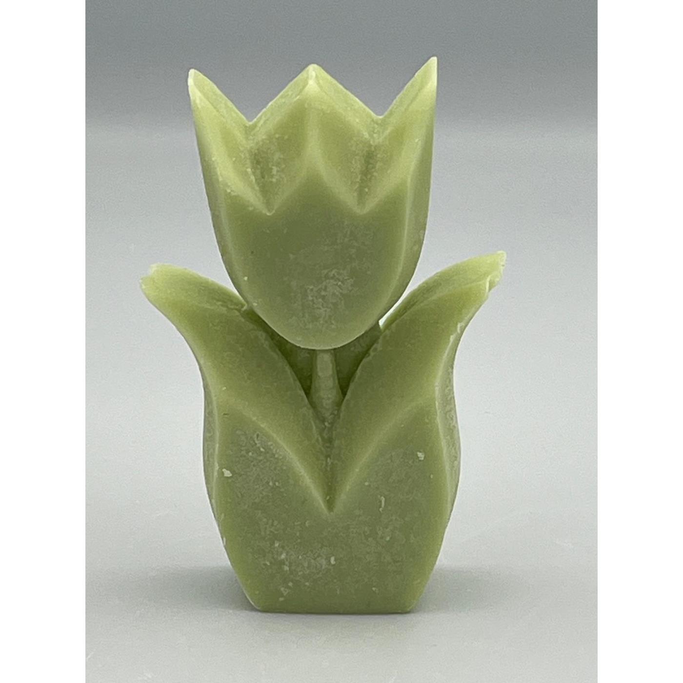 Tulp geur Cucumber