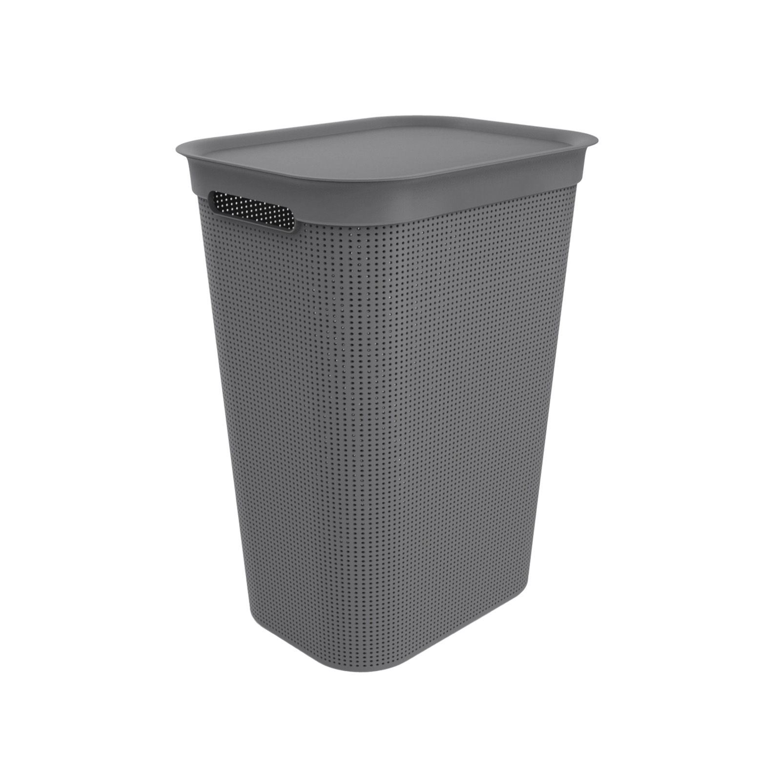 Rotho Brisen Wasbox 50L antraciet