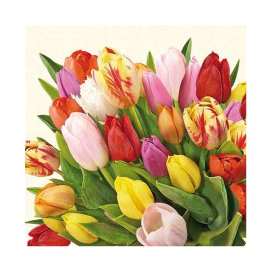 Ambiente Servetten bos tulpen 33cm
