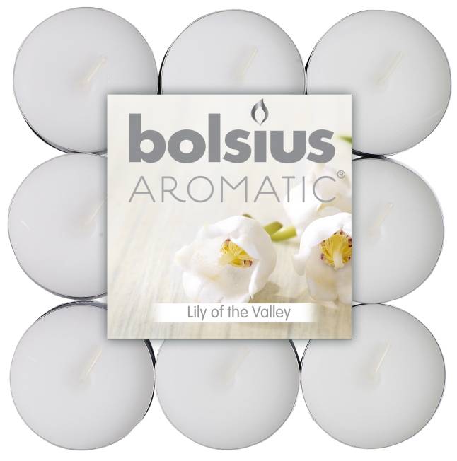 Bolsius geurtheelicht pak a 18